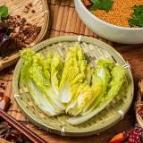 娃娃菜