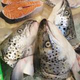 鮭魚頭