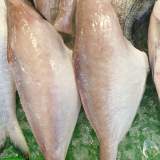 剝皮魚