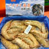 馬來西亞海蝦