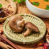 香菇
