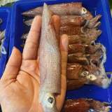 脆捲（小卷）