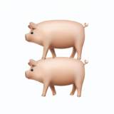 豬＋豬 漢堡排