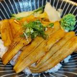 星鰻丼