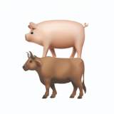 豬＋牛 漢堡排