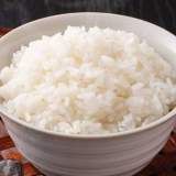 白飯